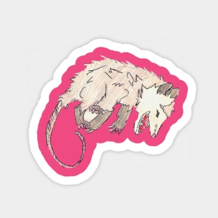 Opossum Sticker